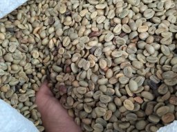 Kopi